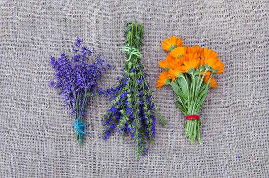 Three tied bundles of freshly picked medical herbs placed on linen background  