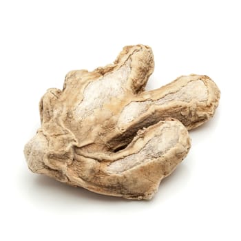 Macro closeup of a Dried Ginger root or Sonth (Zingiber officinale) isolated on white background.