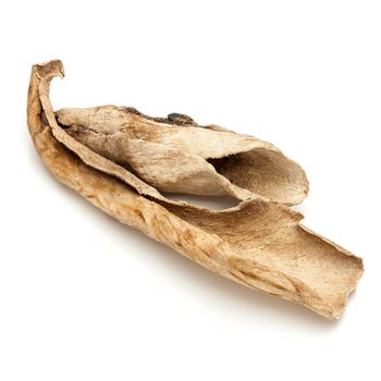 Macro closeup of Organic Sour dried mango or Aamchur or Amchoor (Mangifera indica) isolated on white background.