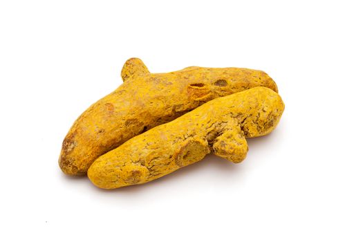 Macro closeup of Organic Long Turmeric or Haldi (Curcuma longa) isolated on white background.