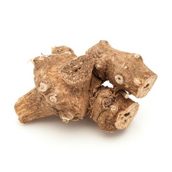 Macro closeup of a Organic Ganthoda or Long pepper Roots (Piper longum) isolated on white background.