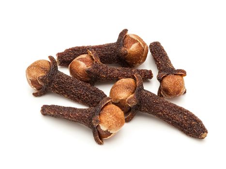 Macro closeup of a Organic black clove (Syzygium aromaticum) isolated on white background.