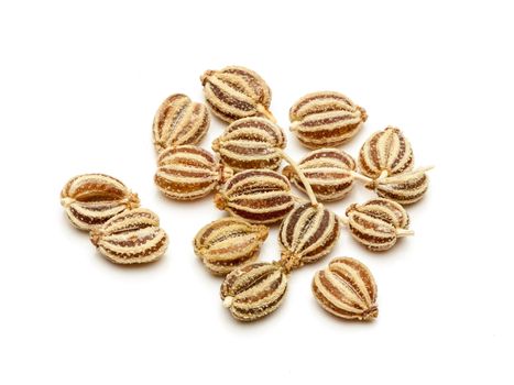 Macro closeup of Organic Ajwain (Trachyspermum ammi) isolated on white background.