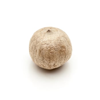 Macro closeup of a Organic White Pepper (Piper nigrum) isolated on white background.