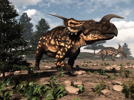 Two einiosaurus dinosaurs walking in the desert by day - 3D render