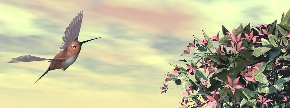 Allen's hummingbird flying next to flowers by sunset - 3D render