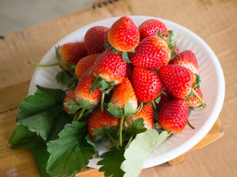 Strawberries in plat