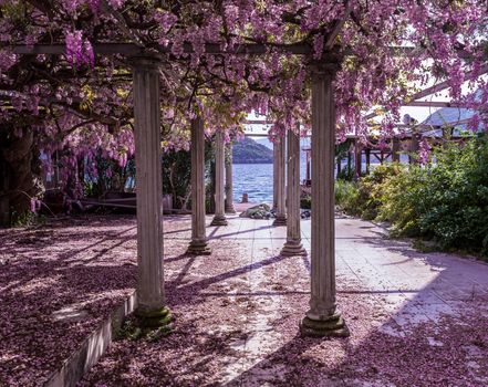 Beautiful front yard with pillars and wisteria flowers 