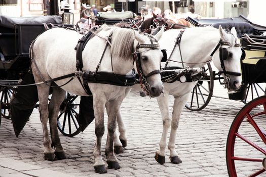 Couple Horse-drawn carts waiting for tourists at the main gate to Hofburg Palace in Vienna, Austria