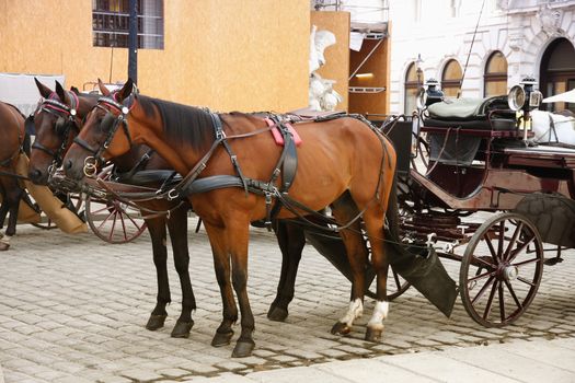 Couple Horse-drawn carts waiting for tourists at the main gate to Hofburg Palace in Vienna, Austria