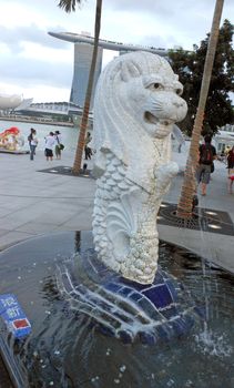 Mar lion