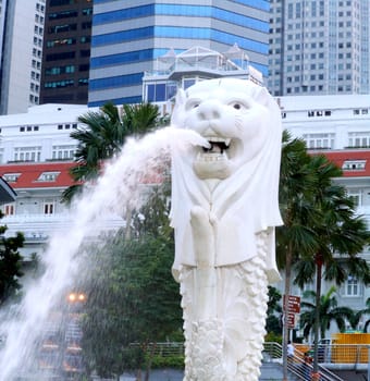 Mar Lion