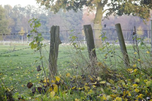 A wooden fence with barbed wire standing in a field