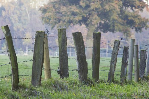 A wooden fence with barbed wire standing in a field