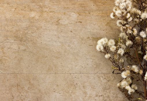 Dried wild flowers on the old wooden background