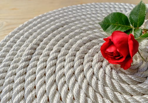 Beautiful red rose lily over rope and wooden table