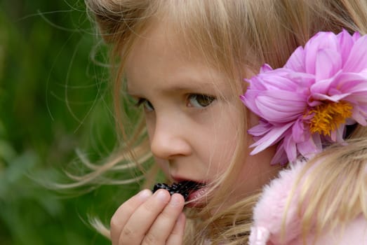 Small girl is eating  blackberry.