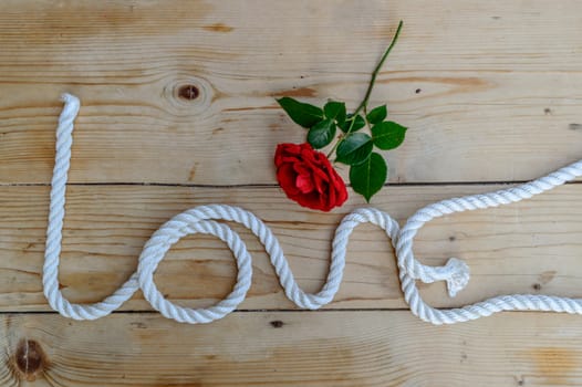 Red rose and love rope