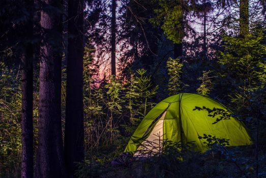 Camping in a Forest. Late Evening on a Camp Site. Green Illuminated Tent Between Spruce Trees. Outdoor Lifestyle.