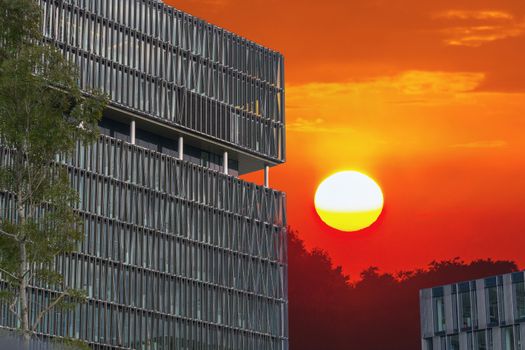 Modern office building with glass wall in the background of the sunset.