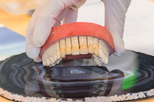 Dentures, prosthesis and oral hygiene. Hands with gloves while working on a dental prosthesis.