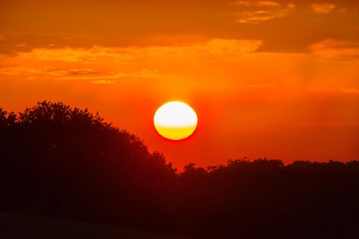 Beautiful bloody sunset behind a  forest. 