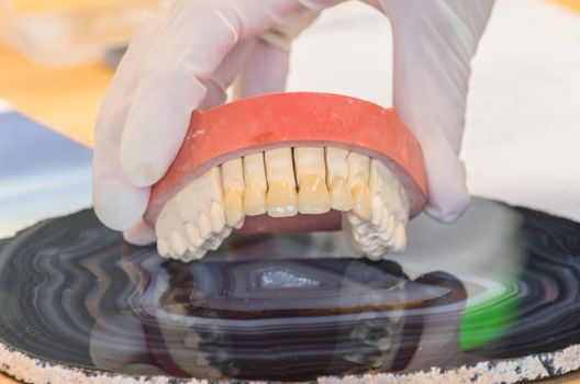 Dentures, prosthesis and oral hygiene. Hands with gloves while working on a dental prosthesis.