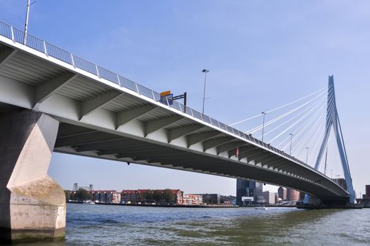 Erasmus bridge on Maas river in Rotterdam Netherlands Holland