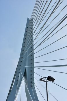 Erasmus bridge on Maas river in Rotterdam Netherlands Holland