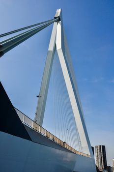 Erasmus bridge on Maas river in Rotterdam Netherlands Holland