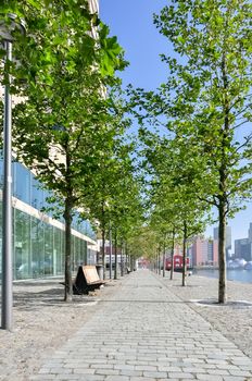 paved pedestrian promenade on Maas river in Rotterdam Netherlands Holland