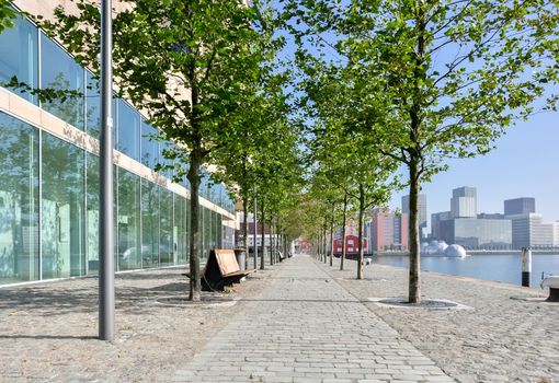 paved pedestrian promenade on Maas river in Rotterdam Netherlands Holland