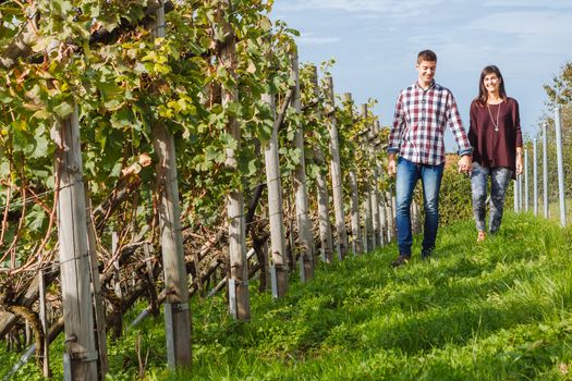 Photo of a young couple holding hands and walking through a vineyard.
