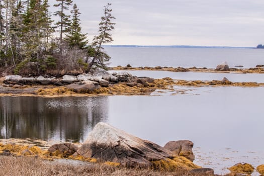Nova Scotia coast on a calm day