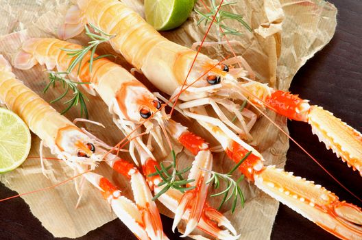 Delicious Raw Langoustines with Lime and Rosemary on Parchment Paper closeup. Top View