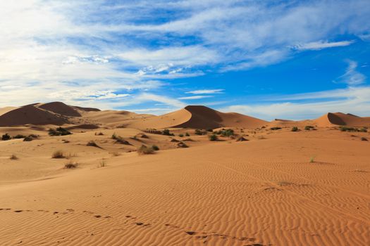 dune erg Chebbi in the blue sky, Morocco