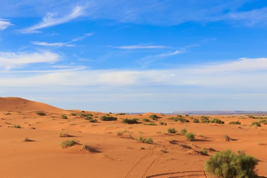 dune erg Chebbi in the blue sky, sahara desert Morocco