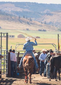 Rear view of man wearing cowboy hat.