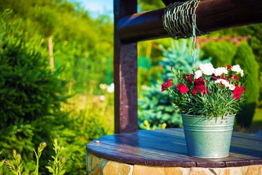 Decorative Flowers Bucket on a Well. Creative Backyard Garden Elements.