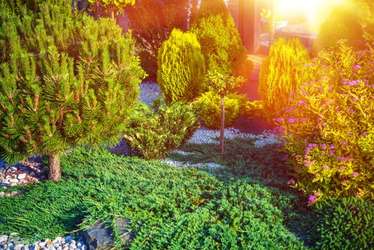 Small Rockery Garden Closeup Photo. Sunny Home Garden.