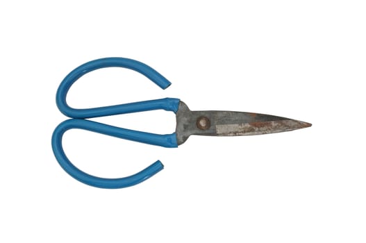 Rusty blue rubber handles scissors