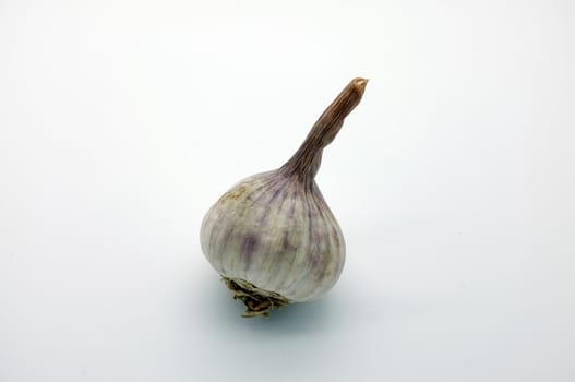 A bulb / a head of thai garlic on white background with shadow