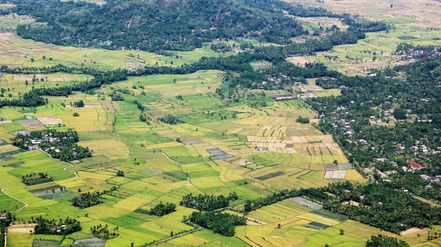 Aerial view over at the meadows countryside