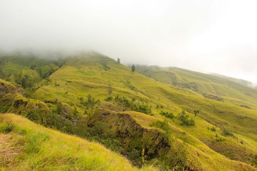 Landscape on mountain with grass and cloud