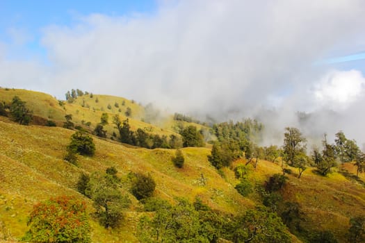 Landscape on mountain with grass and cloud