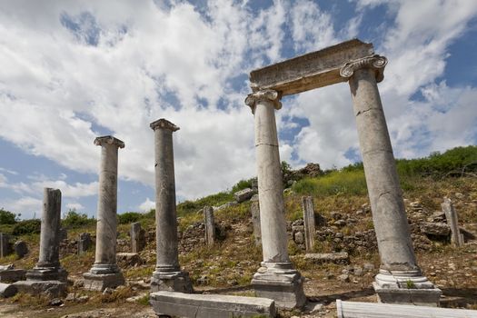 Ionic Columns along the Main Road in Historic Perga