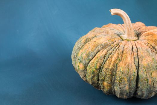 Fresh pumpkin on blue painted background with open space