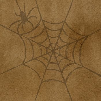 spider and web hand draw on brown paper . use for Halloween day