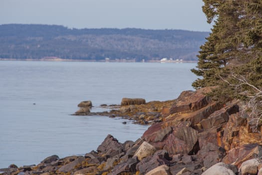 Beautiful Nova Scotia shore scenery in December