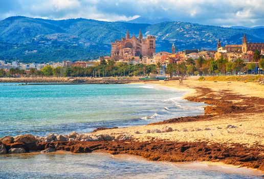 Sand beach in Palma de Mallorca, gothic cathedral La Seu in background, Spain